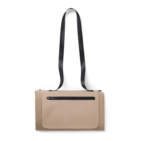 Manta picnic VINGA Baltimore RCS