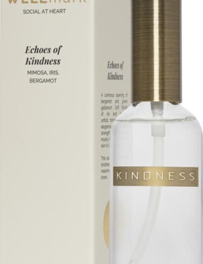 Spray ambiental de 100 ml "Wellmark"