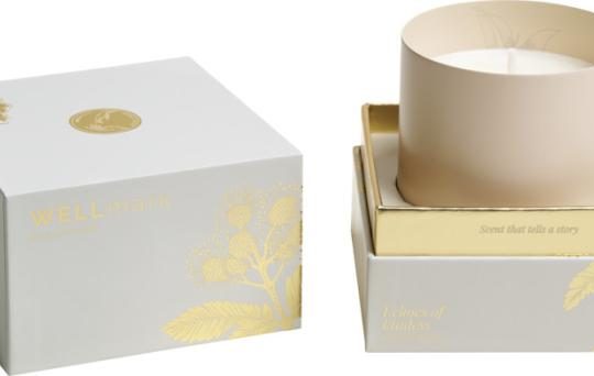 Vela perfumada de 210gr "Wellmark"