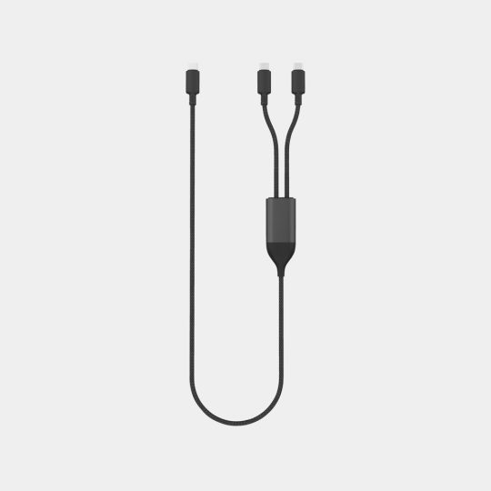 Cable de salida dual USB-C Terra 100W RCS